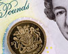 Scattered banknotes